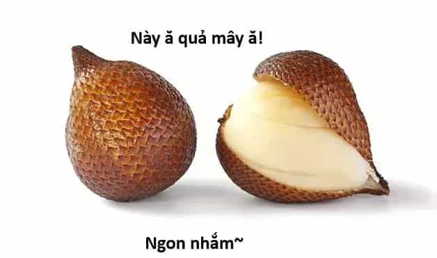 Ngay Cả Khi Hậu Tận Thế, Thật Hạnh Phúc Vẫn Còn Được Sống... - Chương 76 - ảnh 22