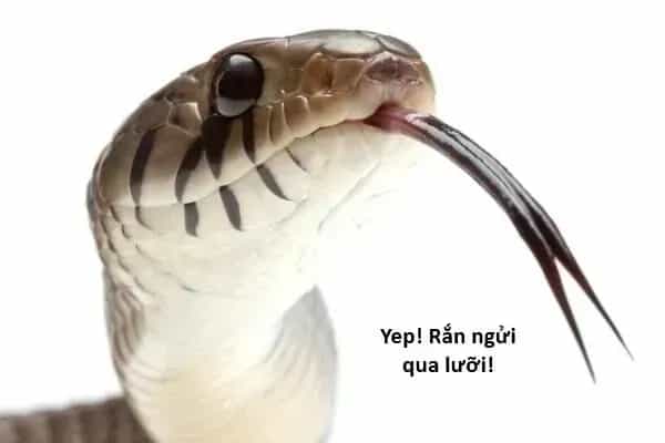 Ngay Cả Khi Hậu Tận Thế, Thật Hạnh Phúc Vẫn Còn Được Sống... - Chương 77 - ảnh 16
