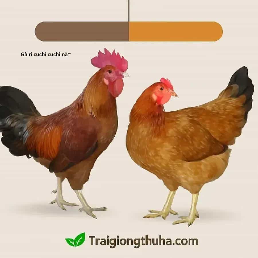 Ngay Cả Khi Hậu Tận Thế, Thật Hạnh Phúc Vẫn Còn Được Sống... - Chương 89 - ảnh 21