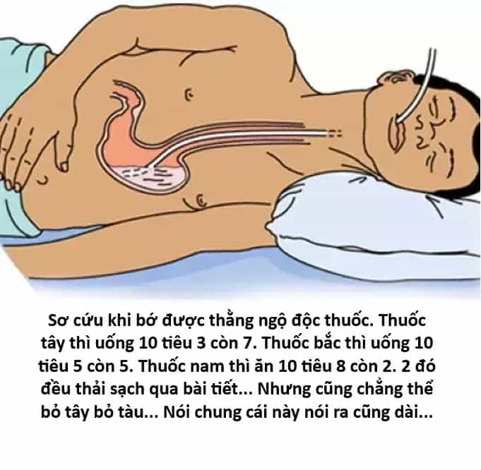 Ngay Cả Khi Hậu Tận Thế, Thật Hạnh Phúc Vẫn Còn Được Sống... - Chương 98 - ảnh 22