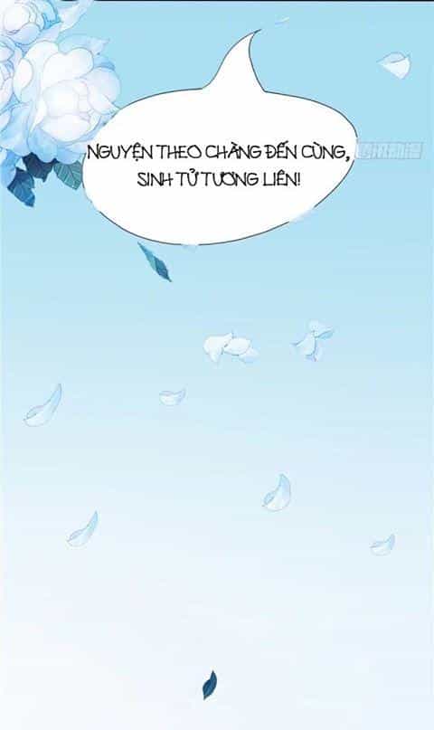Nghịch Thiên Độc Y: Long Tôn Cầu Buông Ra - Chương 1 - ảnh 29