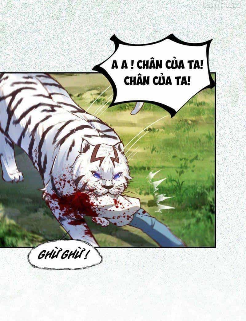 Nghịch Thiên Thần Phi Chí Thượng - Chương 4 - ảnh 5