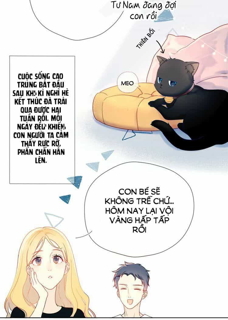 Ngôi Sao Cho Tôi - Chương 1 - ảnh 22