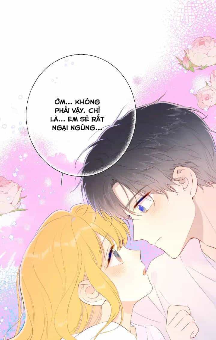 Ngôi Sao Cho Tôi - Chương 101 - ảnh 14