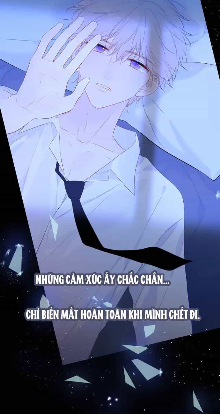 Ngôi Sao Cho Tôi - Chương 104 - ảnh 35