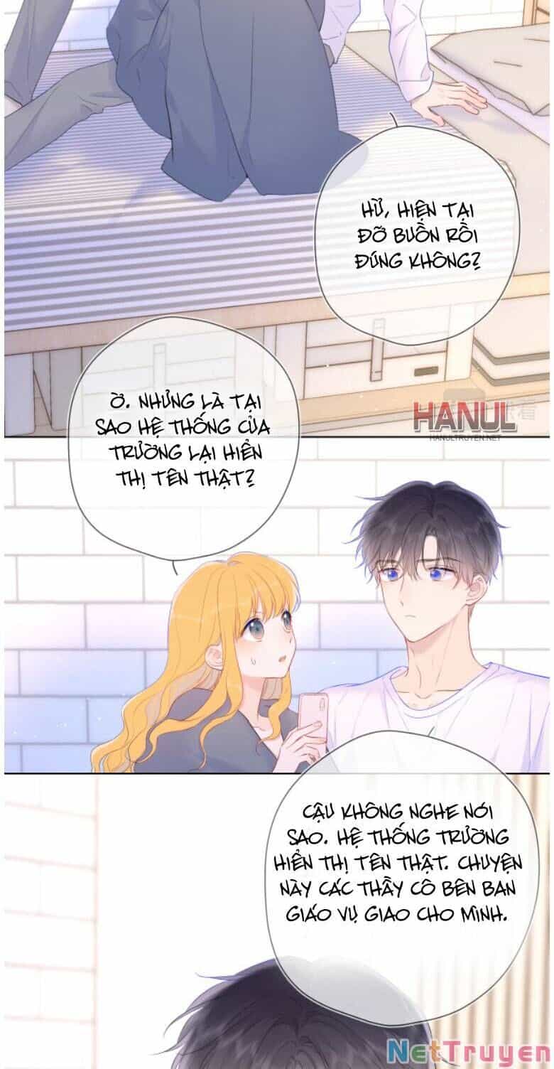 Ngôi Sao Cho Tôi - Chương 126 - ảnh 13