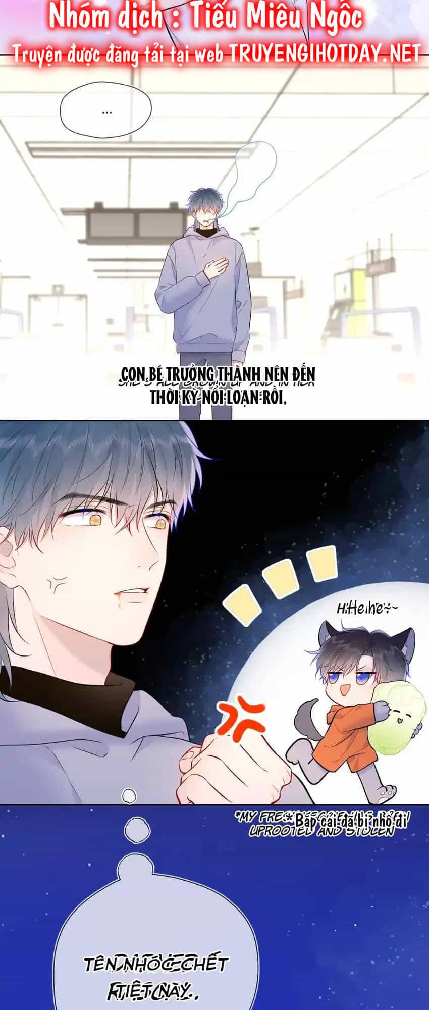 Ngôi Sao Cho Tôi - Chương 132 - ảnh 26