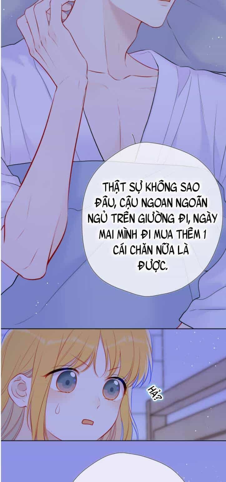Ngôi Sao Cho Tôi - Chương 137 - ảnh 16