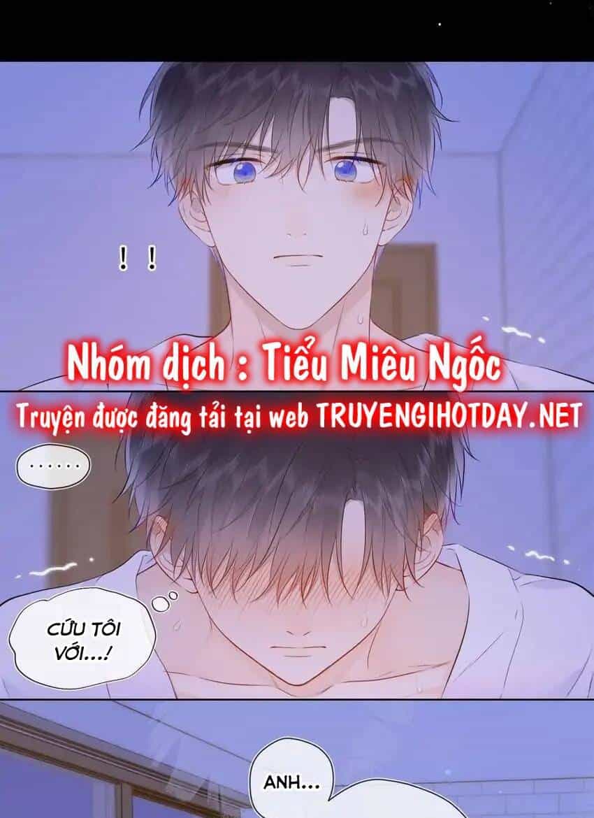 Ngôi Sao Cho Tôi - Chương 138 - ảnh 15