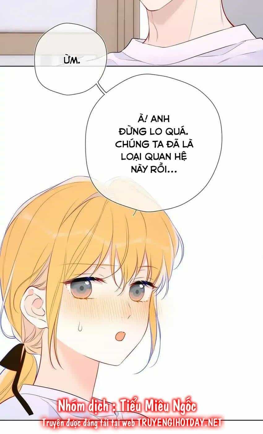 Ngôi Sao Cho Tôi - Chương 144 - ảnh 14