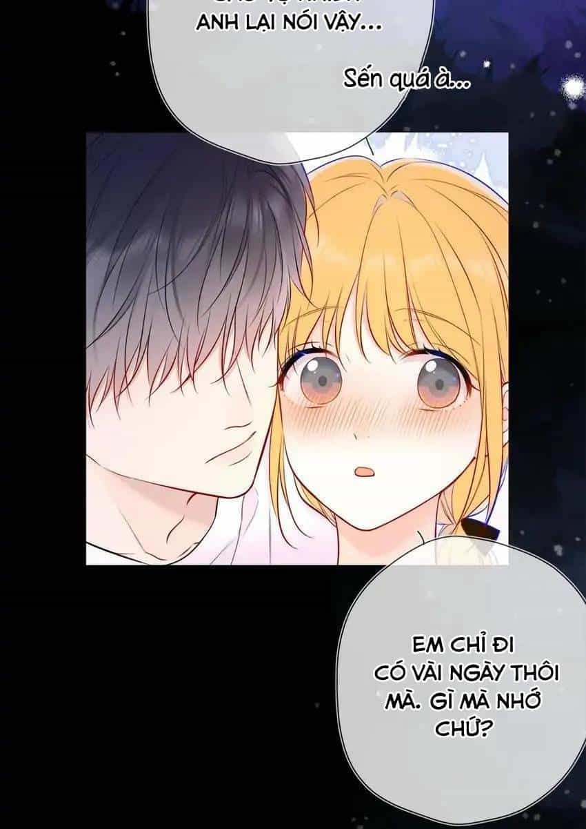 Ngôi Sao Cho Tôi - Chương 144 - ảnh 19