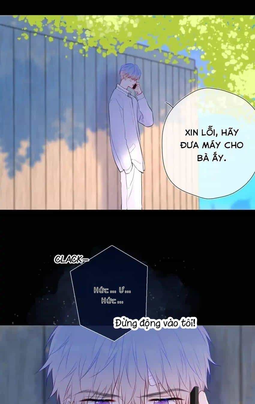 Ngôi Sao Cho Tôi - Chương 145 - ảnh 19