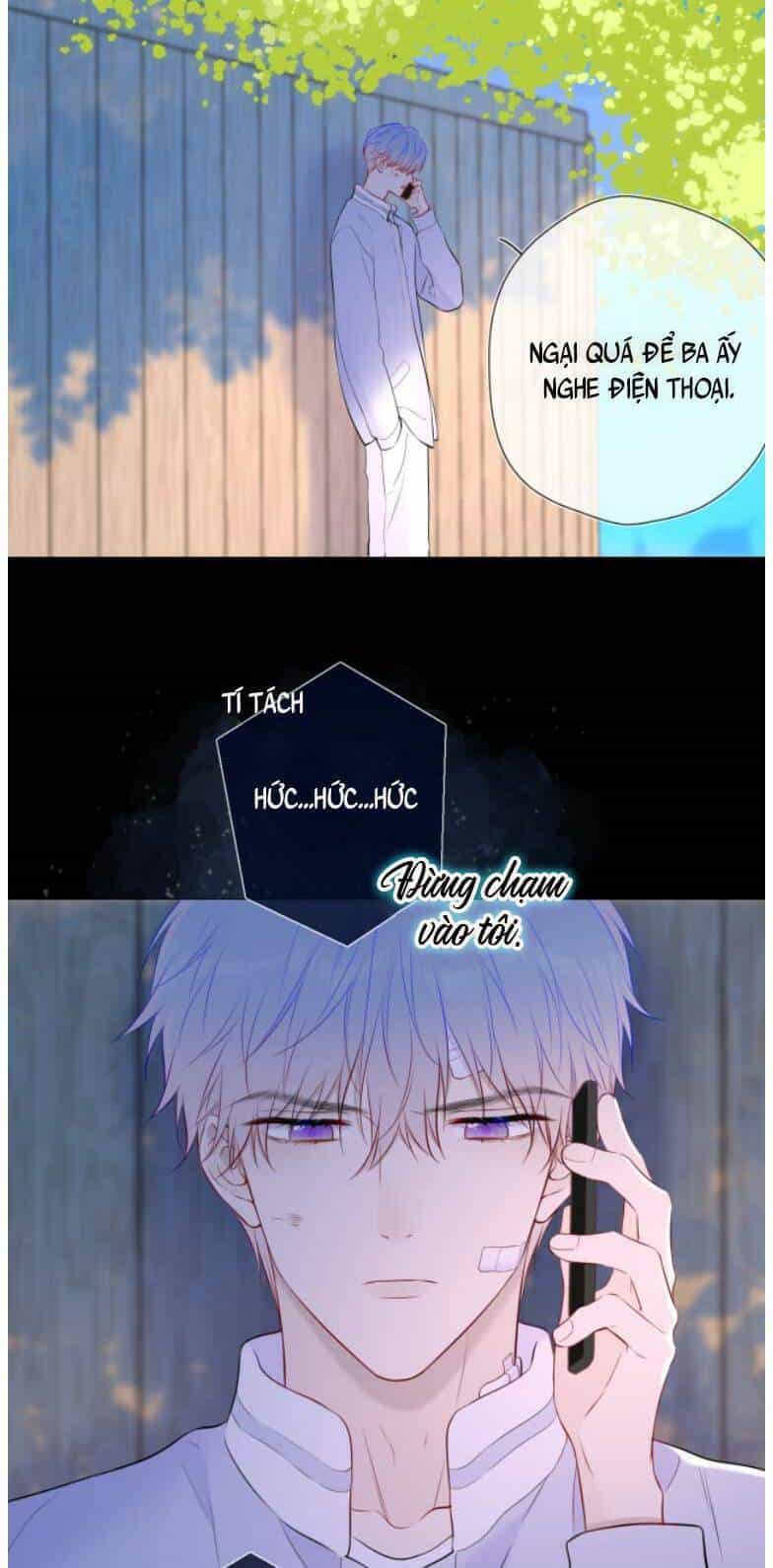 Ngôi Sao Cho Tôi - Chương 147 - ảnh 17