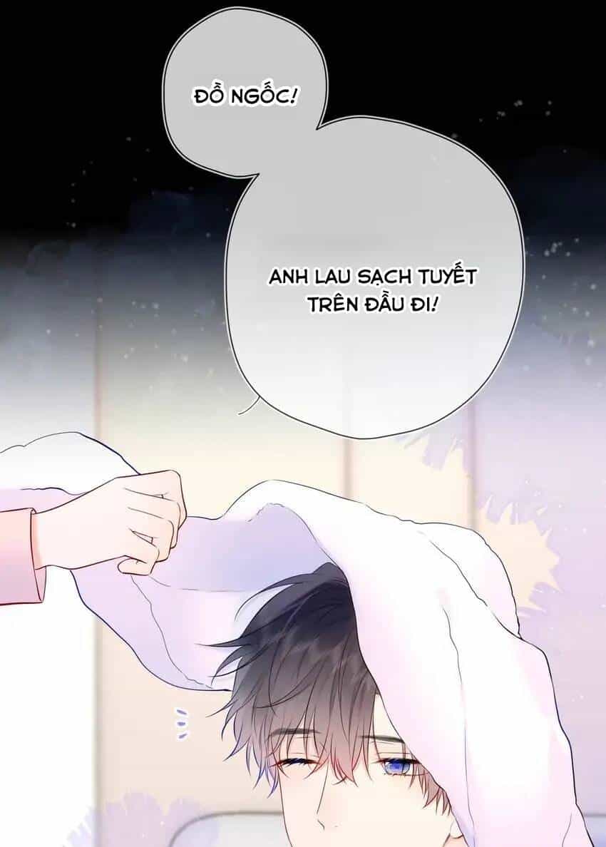 Ngôi Sao Cho Tôi - Chương 148 - ảnh 28