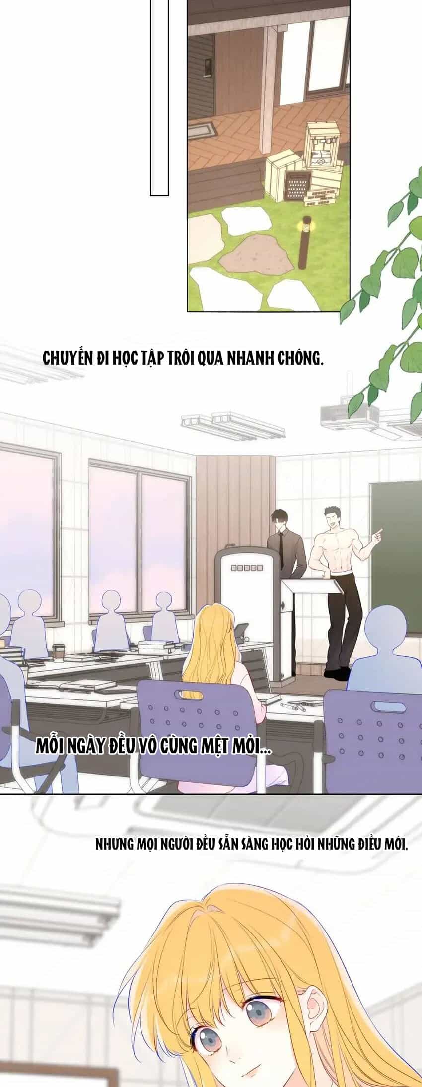 Ngôi Sao Cho Tôi - Chương 151 - ảnh 17