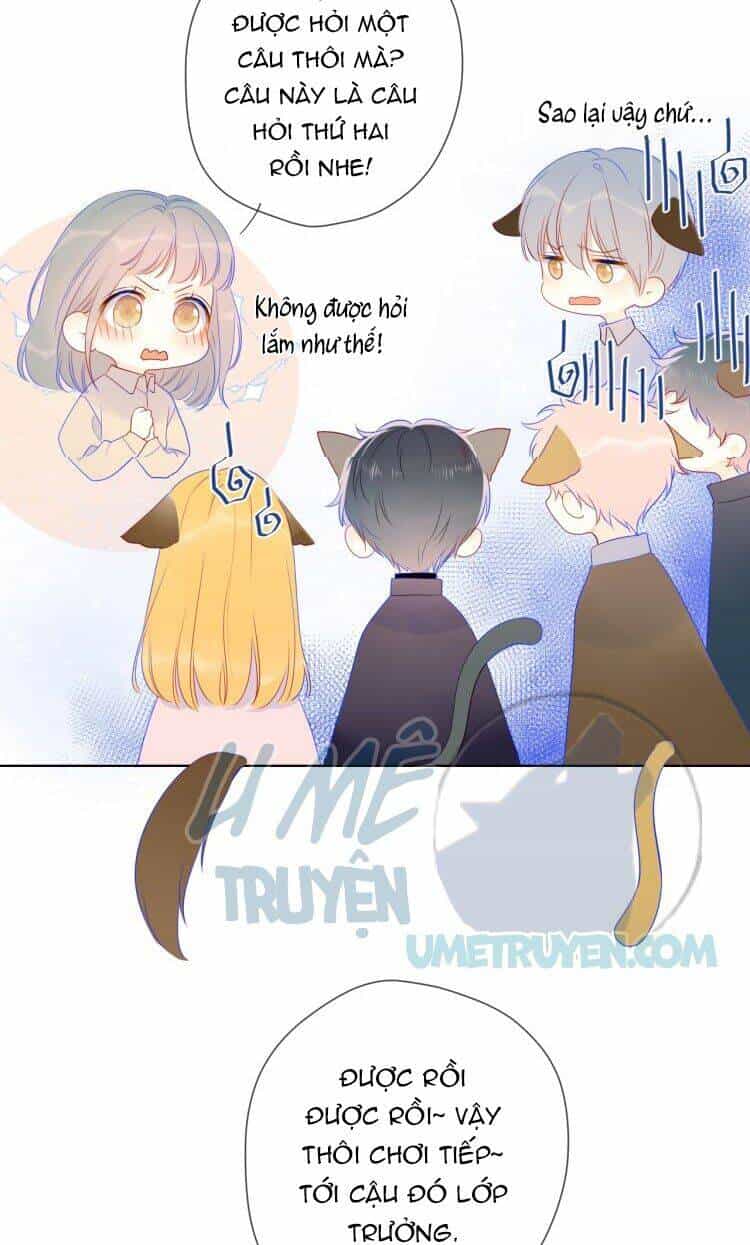Ngôi Sao Cho Tôi - Chương 20 - ảnh 6