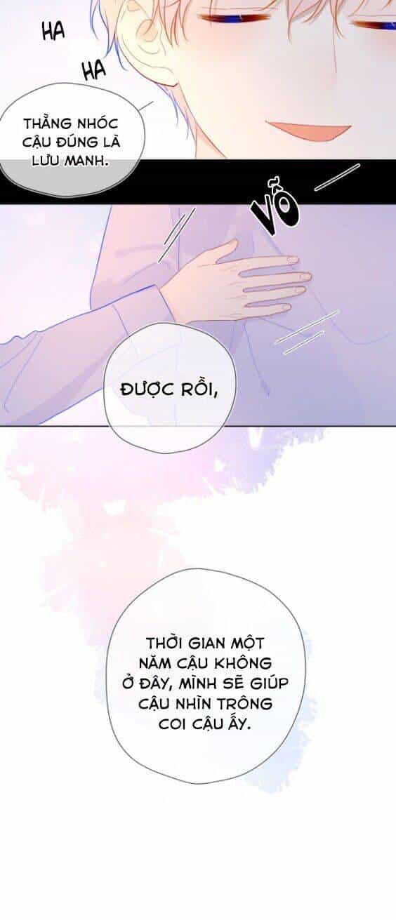 Ngôi Sao Cho Tôi - Chương 37 - ảnh 19