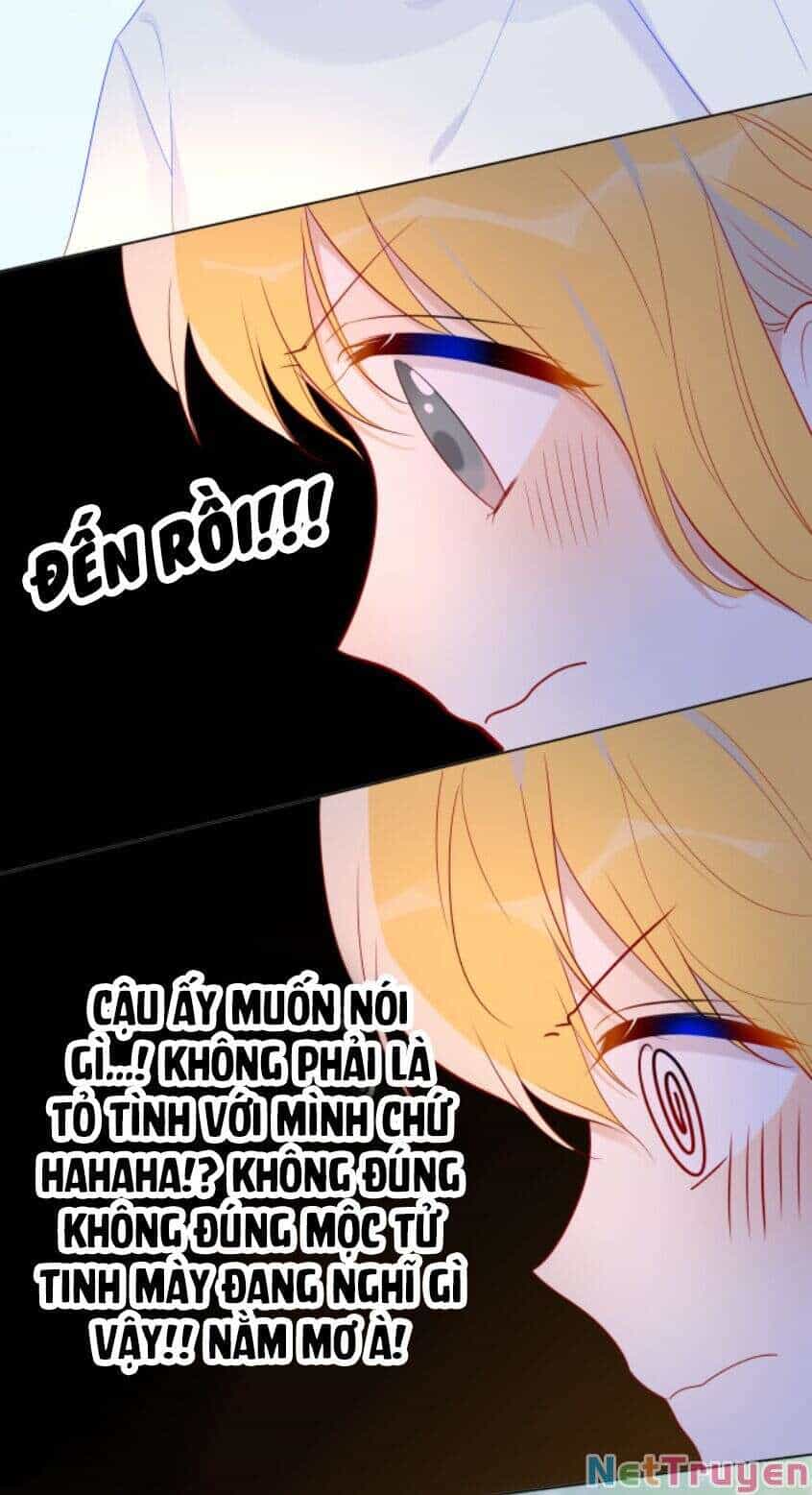 Ngôi Sao Cho Tôi - Chương 46 - ảnh 16