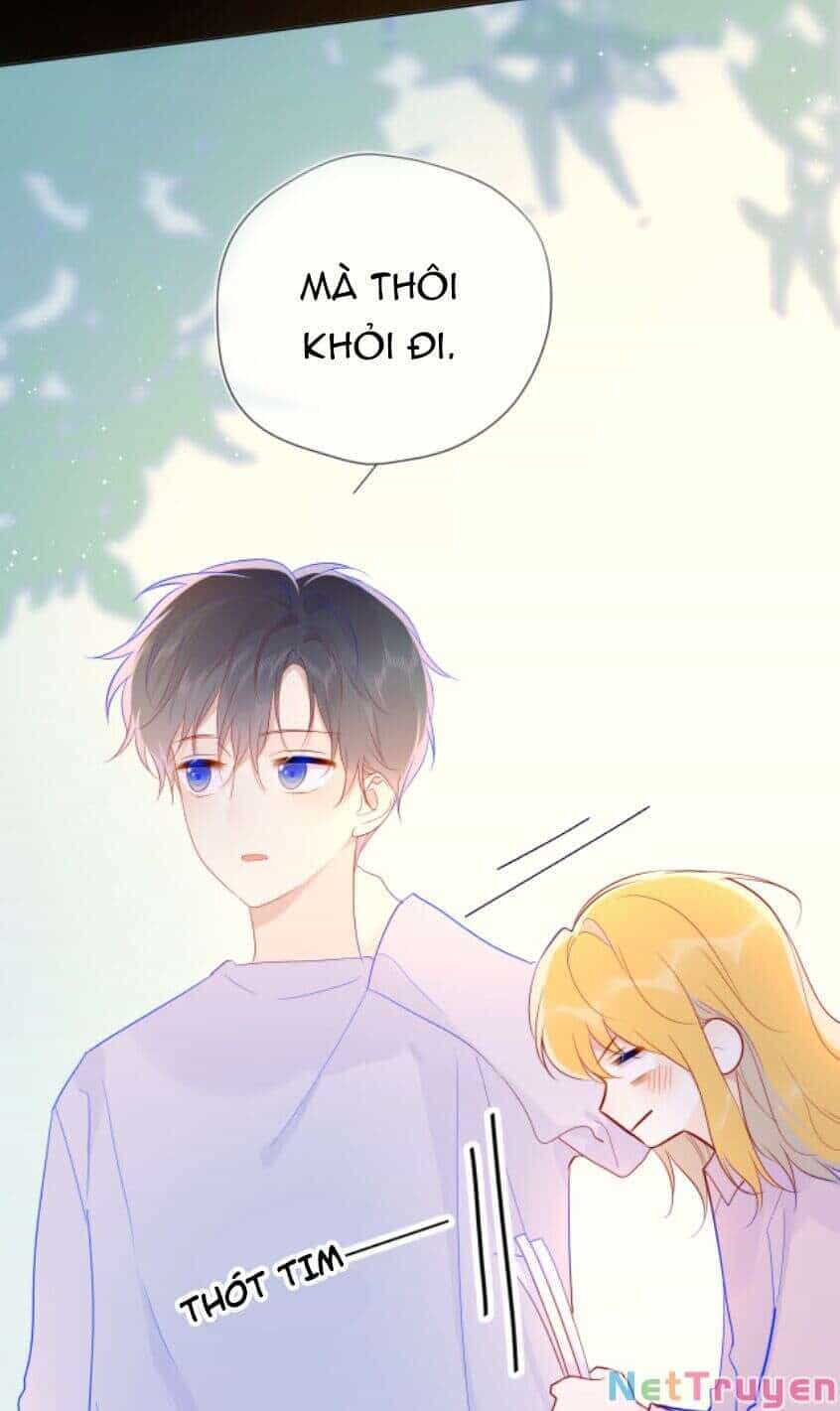 Ngôi Sao Cho Tôi - Chương 46 - ảnh 17