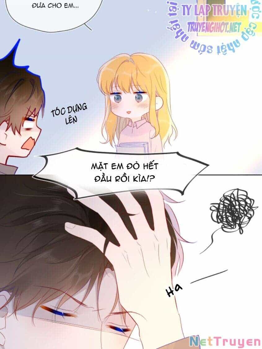 Ngôi Sao Cho Tôi - Chương 46 - ảnh 24