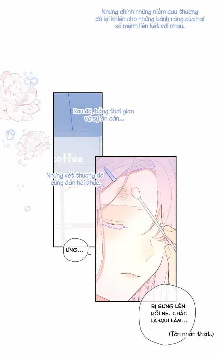 Ngôi Sao Cho Tôi - Chương 96 - ảnh 26