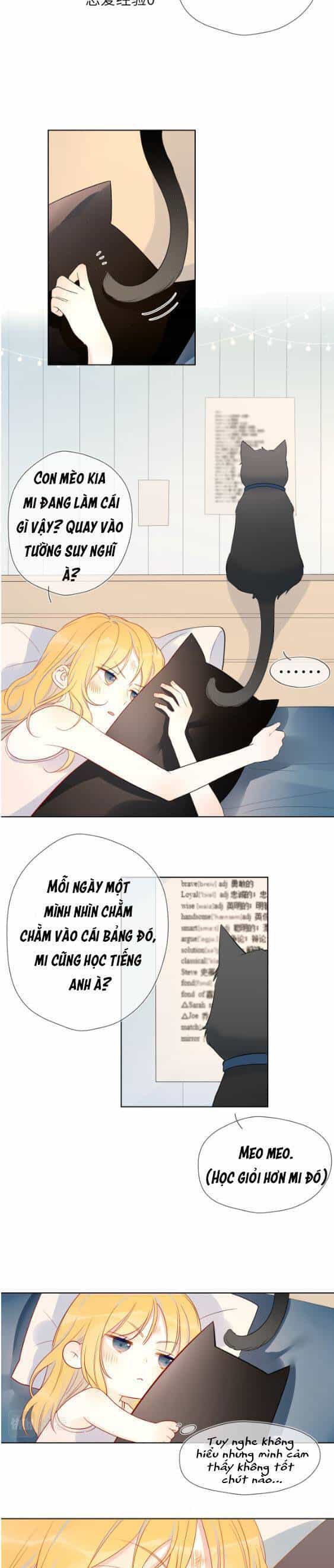 Ngôi Sao May Mắn Dành Cho Tôi - Chương 6 - ảnh 2