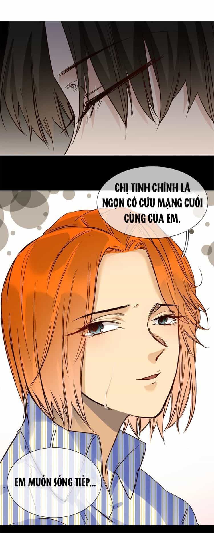Ngôi Sao Vụn Vỡ - Chương 22 - ảnh 41