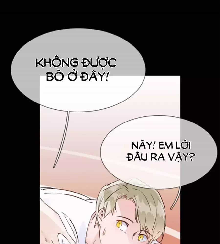 Ngôi Sao Vụn Vỡ - Chương 40 - ảnh 32