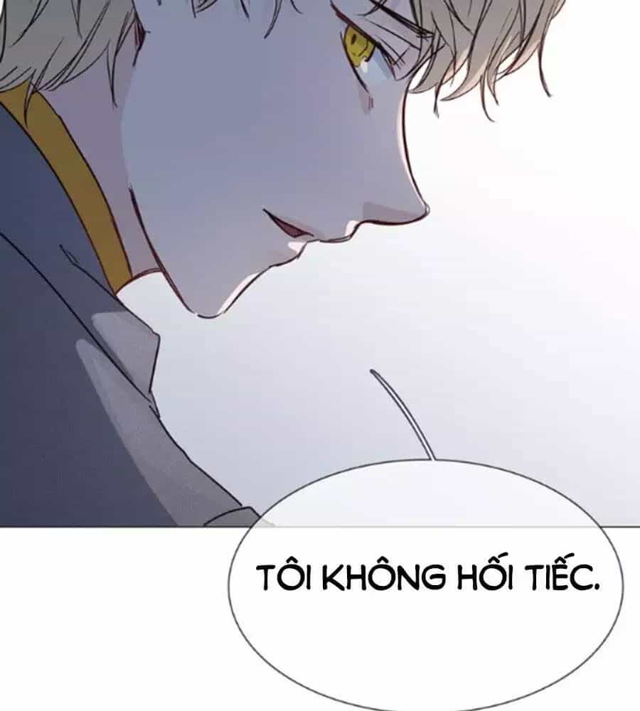 Ngôi Sao Vụn Vỡ - Chương 44 - ảnh 14