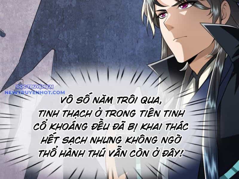 Ngủ Say Vạn Cổ: Xuất Thế Quét Ngang Chư Thiên - Chương 11 - ảnh 14