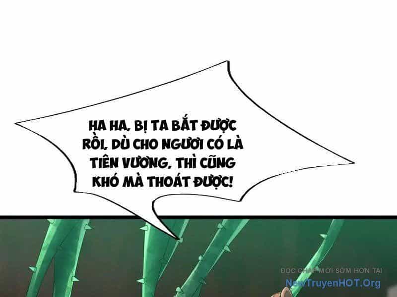 Ngủ Say Vạn Cổ: Xuất Thế Quét Ngang Chư Thiên - Chương 114 - ảnh 42