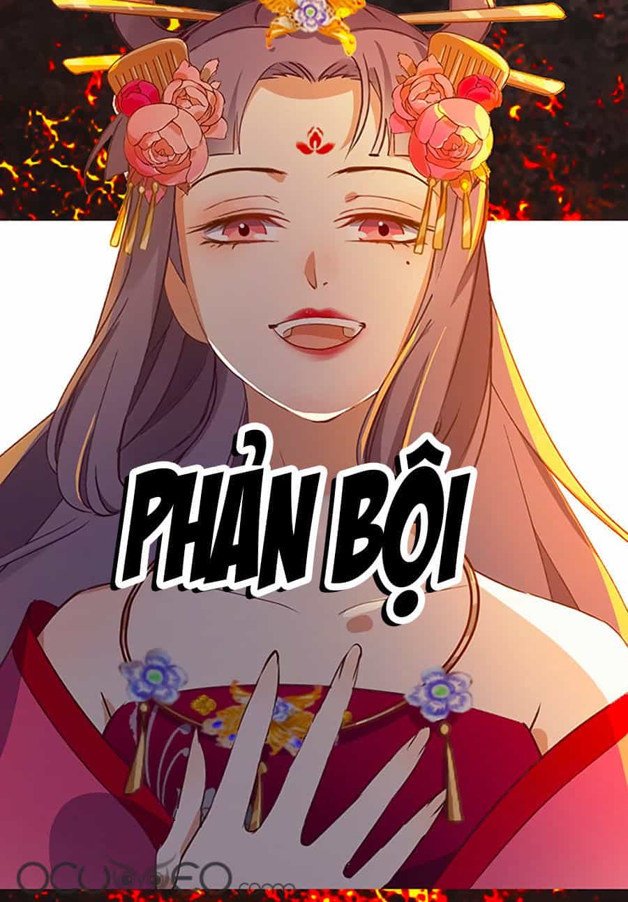 Ngự Thú Linh Phi - Chương 0 - ảnh 5