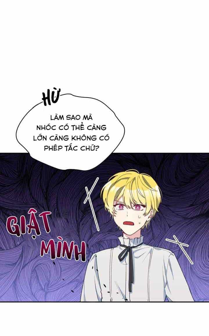 Người Bảo Hộ Của Bạo Quân Là Ma Nữ Tàn Độc - Chương 20 - ảnh 29