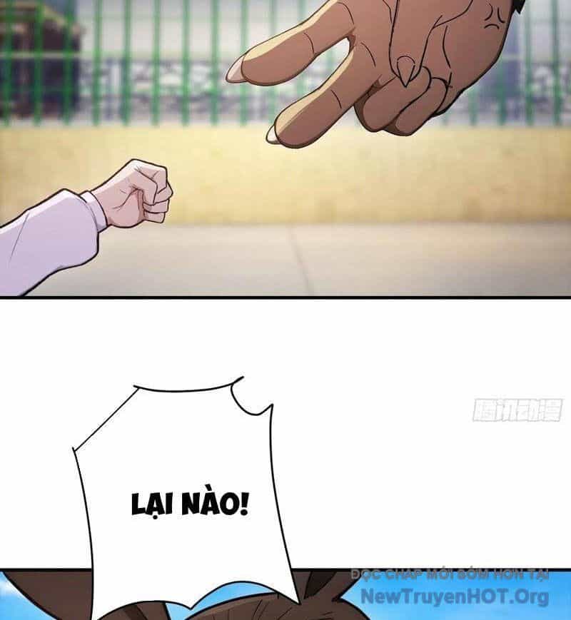 Người Chơi Siêu May Mắn - Chương 61 - ảnh 20