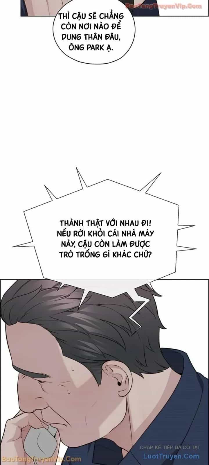 Người Đàn Ông Thực Thụ - Chương 250 - ảnh 17