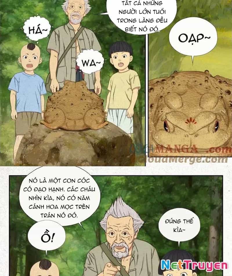 Người Đi Đêm - Chương 60 - ảnh 12