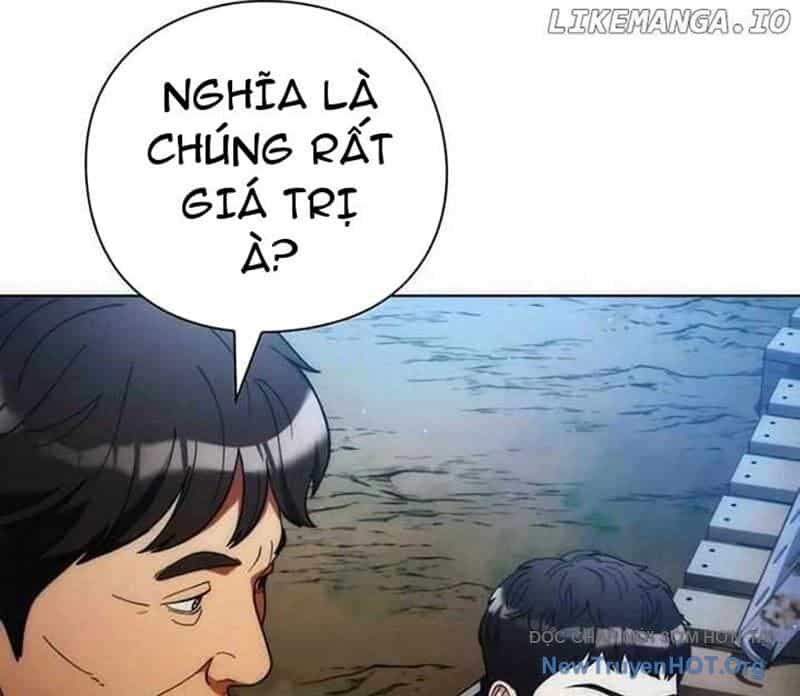 Người Giám Định Cổ Vật - Chương 42 - ảnh 31