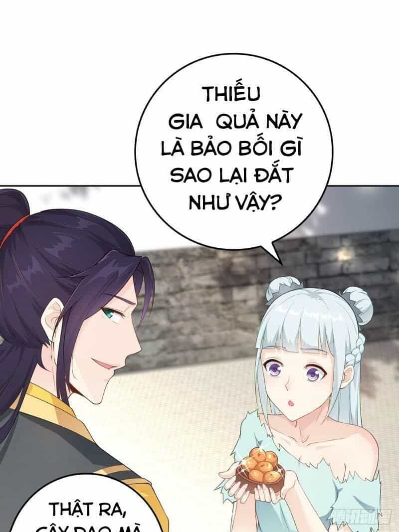 Người Ở Rể Bị Ép Thành Phản Diện - Chương 11 - ảnh 6