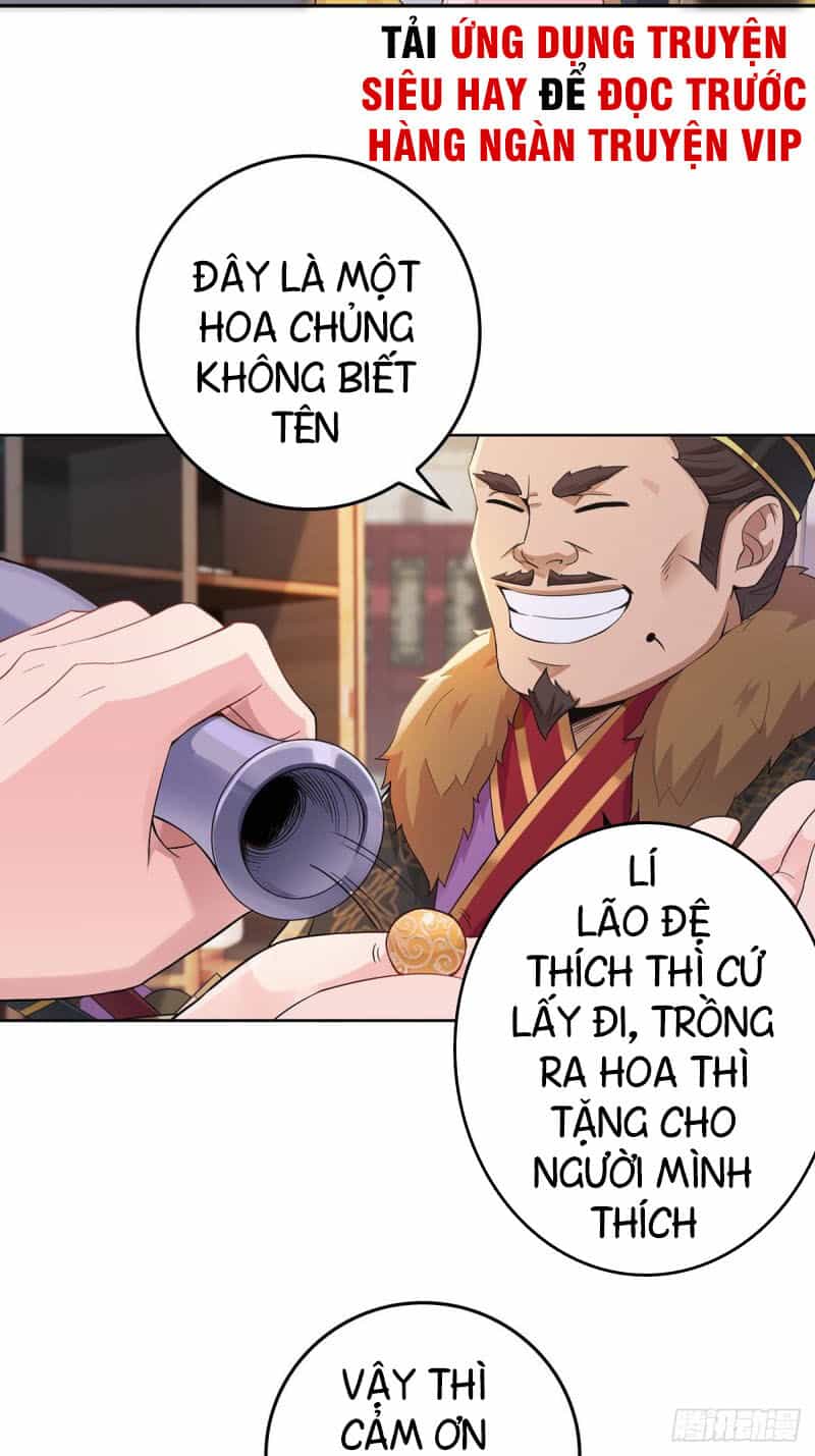 Người Ở Rể Bị Ép Thành Phản Diện - Chương 4 - ảnh 4