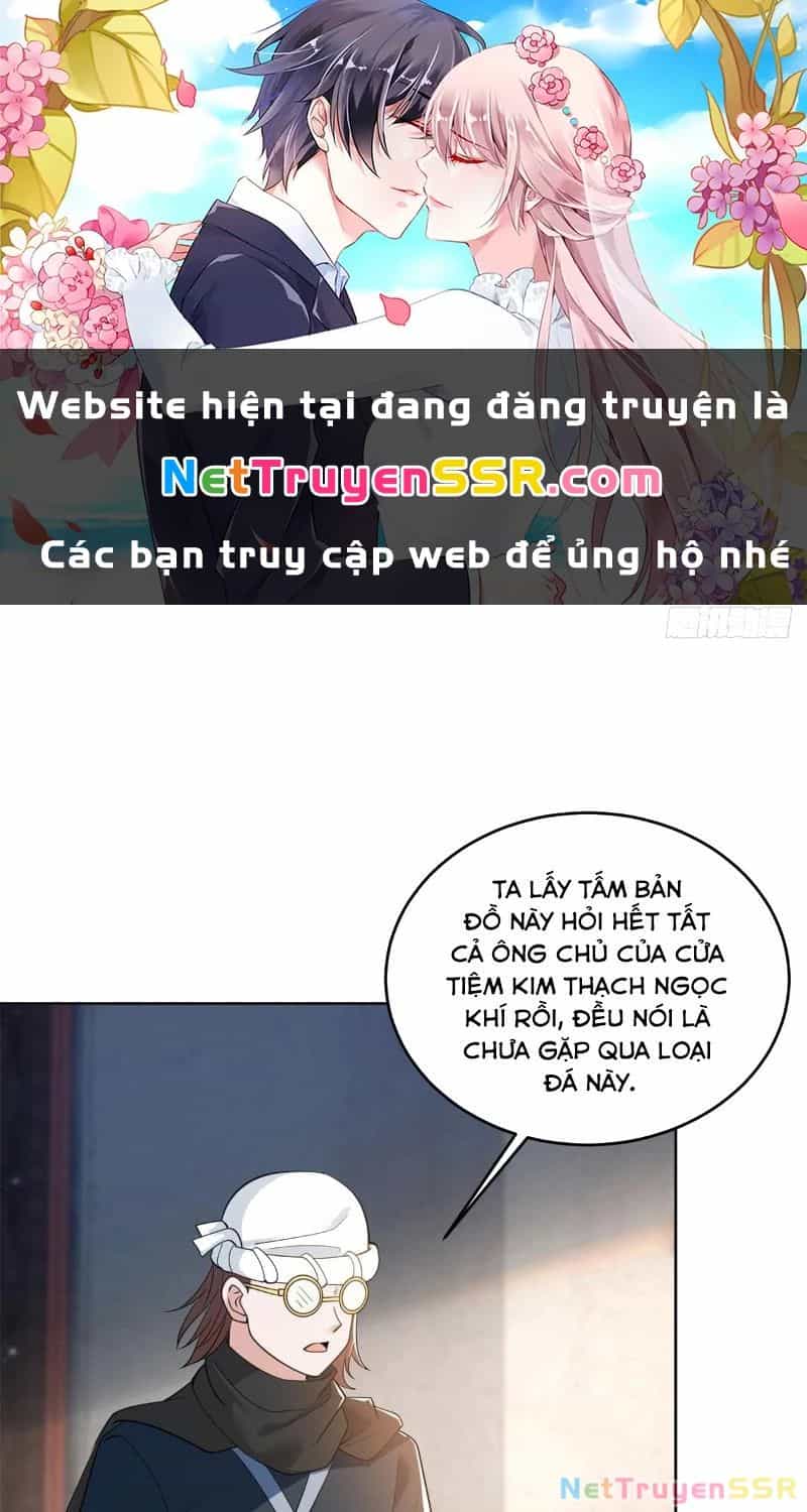 Người Ở Rể Bị Ép Thành Phản Diện - Chương 538 - ảnh 3
