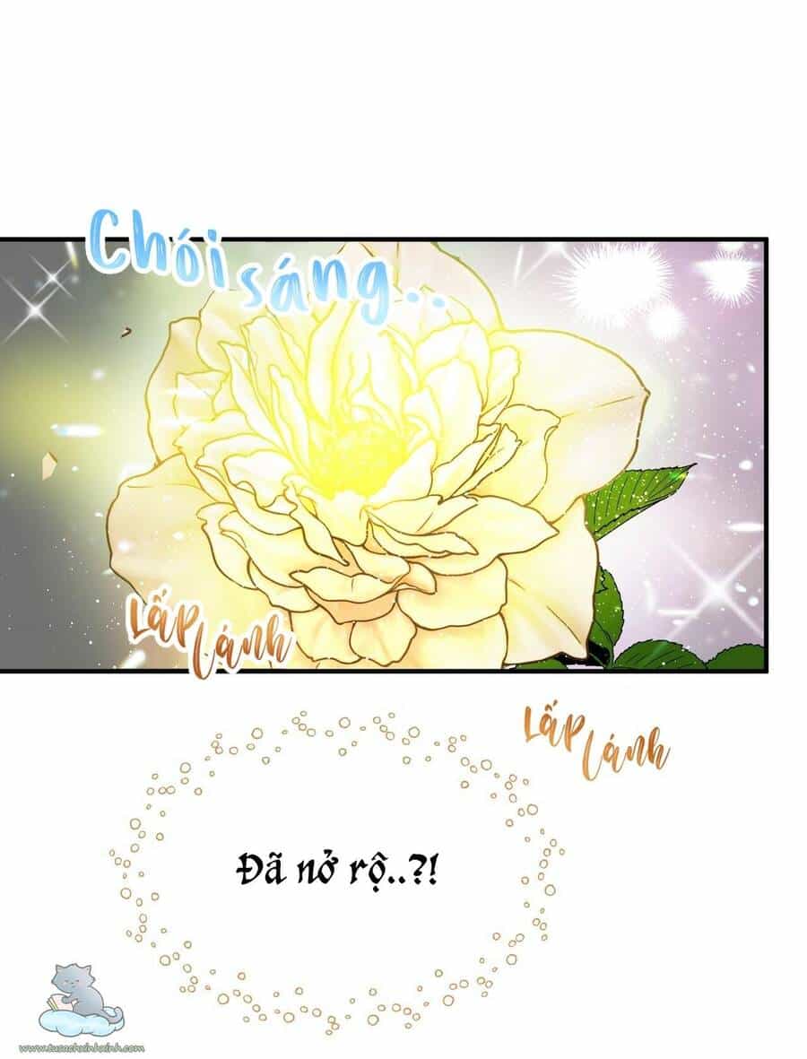 Người Thừa Kế - Chương 14 - ảnh 56
