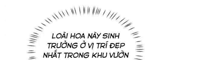 Người Thừa Kế - Chương 44 - ảnh 154
