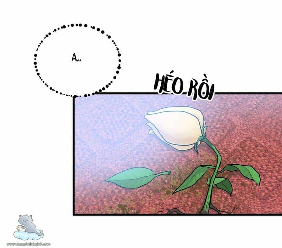 Người Thừa Kế - Chương 6 - ảnh 31