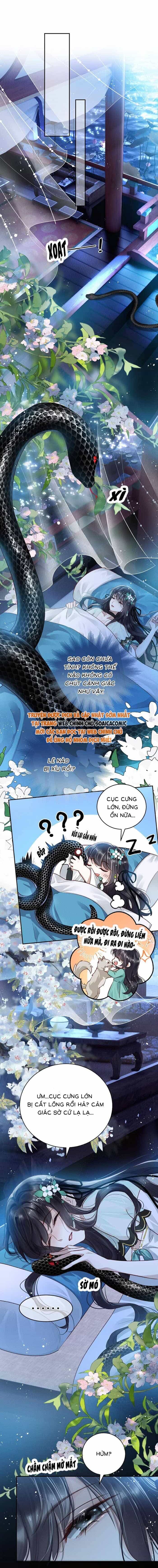 Nguyện Dâng Thân Cá Mặn Này Cho Sư Tổ - Chương 4 - ảnh 4