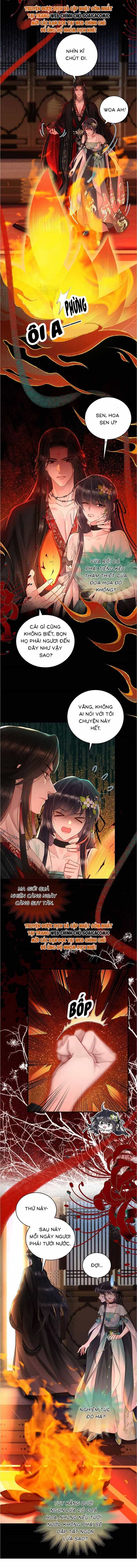 Nguyện Dâng Thân Cá Mặn Này Cho Sư Tổ - Chương 8 - ảnh 5