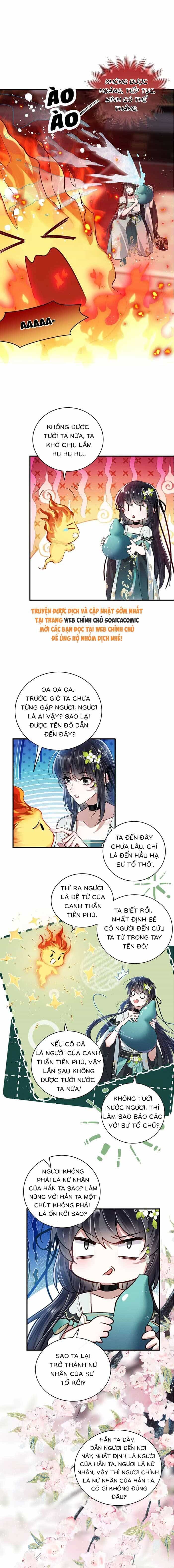 Nguyện Dâng Thân Cá Mặn Này Cho Sư Tổ - Chương 8 - ảnh 7