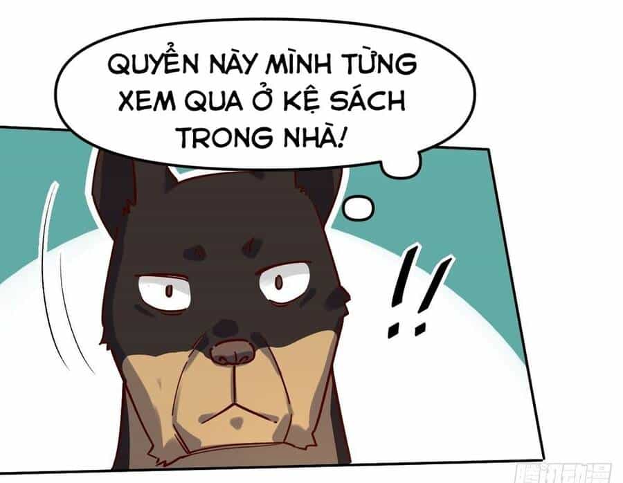 Nguyên Lai Ta Là Tu Tiên Đại Lão - Chương 14 - ảnh 20