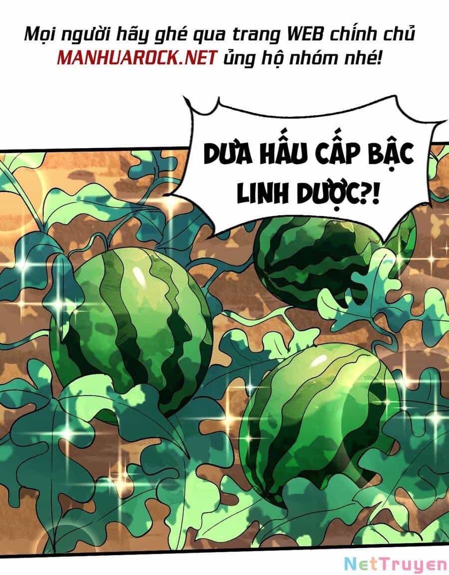 Nguyên Lai Ta Là Tu Tiên Đại Lão - Chương 157 - ảnh 21