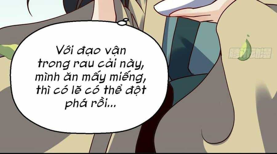 Nguyên Lai Ta Là Tu Tiên Đại Lão - Chương 17 - ảnh 72