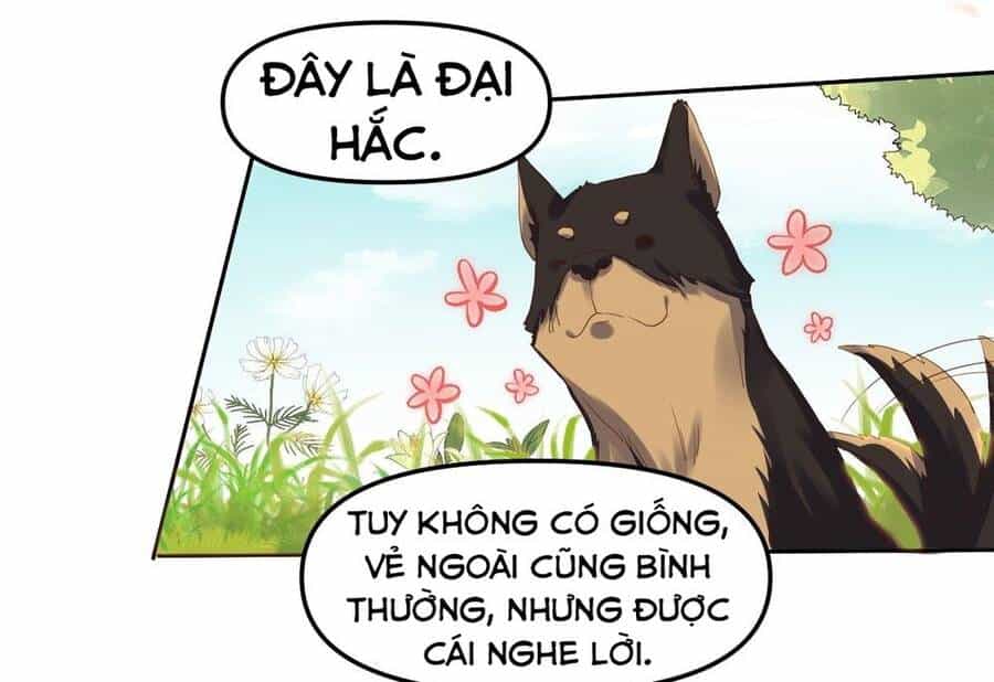 Nguyên Lai Ta Là Tu Tiên Đại Lão - Chương 21 - ảnh 28